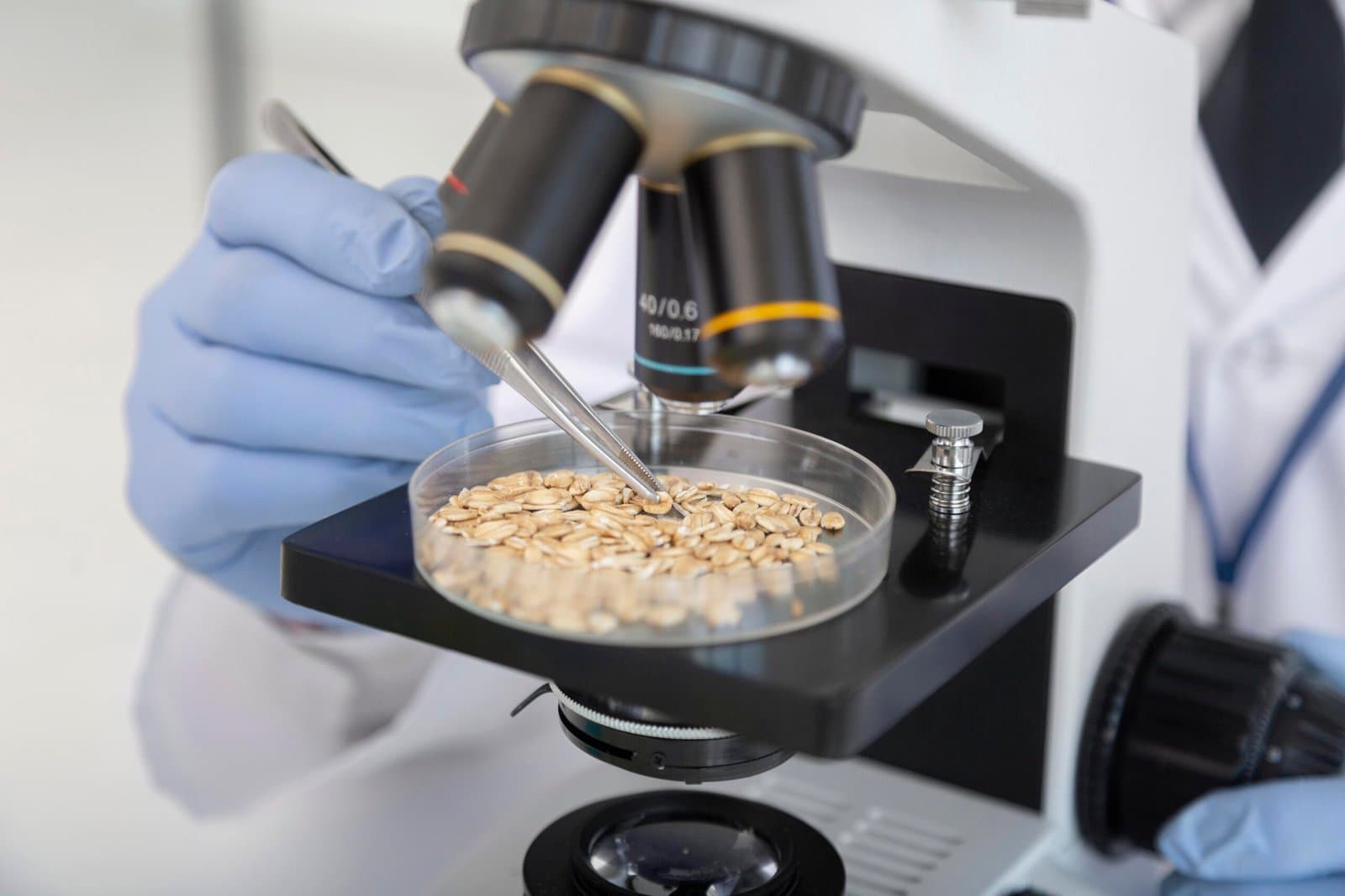 La microbiologie alimentaire