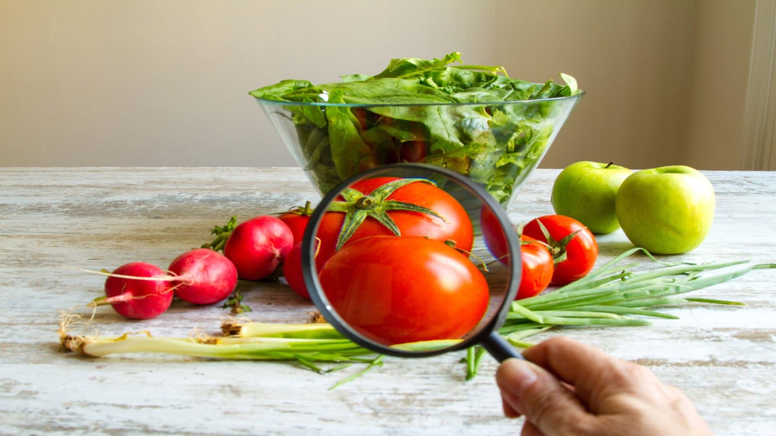 La pratique de la méthode HACCP