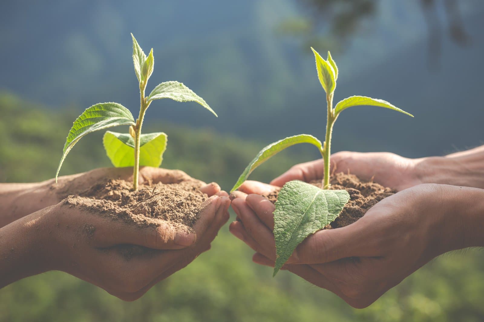 La maîtrise de la protection de l'environnement et la prévention des accidents